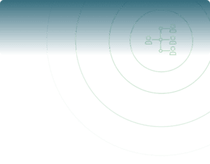Vcheck's human intelligence process