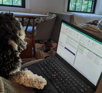 Working from home at Vcheck with a dog.