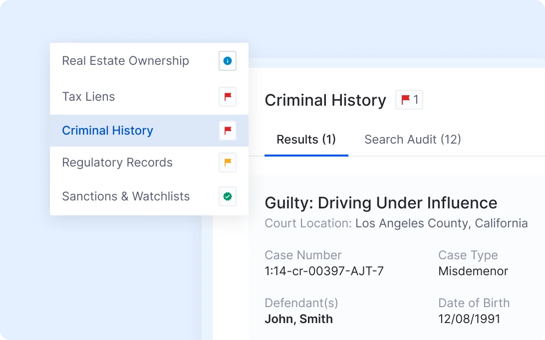 Criminal history record with a flagged case and search audit tab